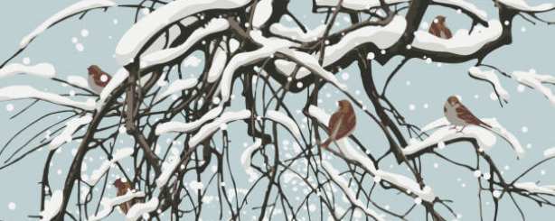 Early Snow